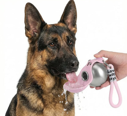 Gourde portable pour chien 285ml – Anti-fuite en Inox