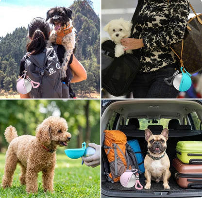 Gourde portable pour chien 285ml – Anti-fuite en Inox