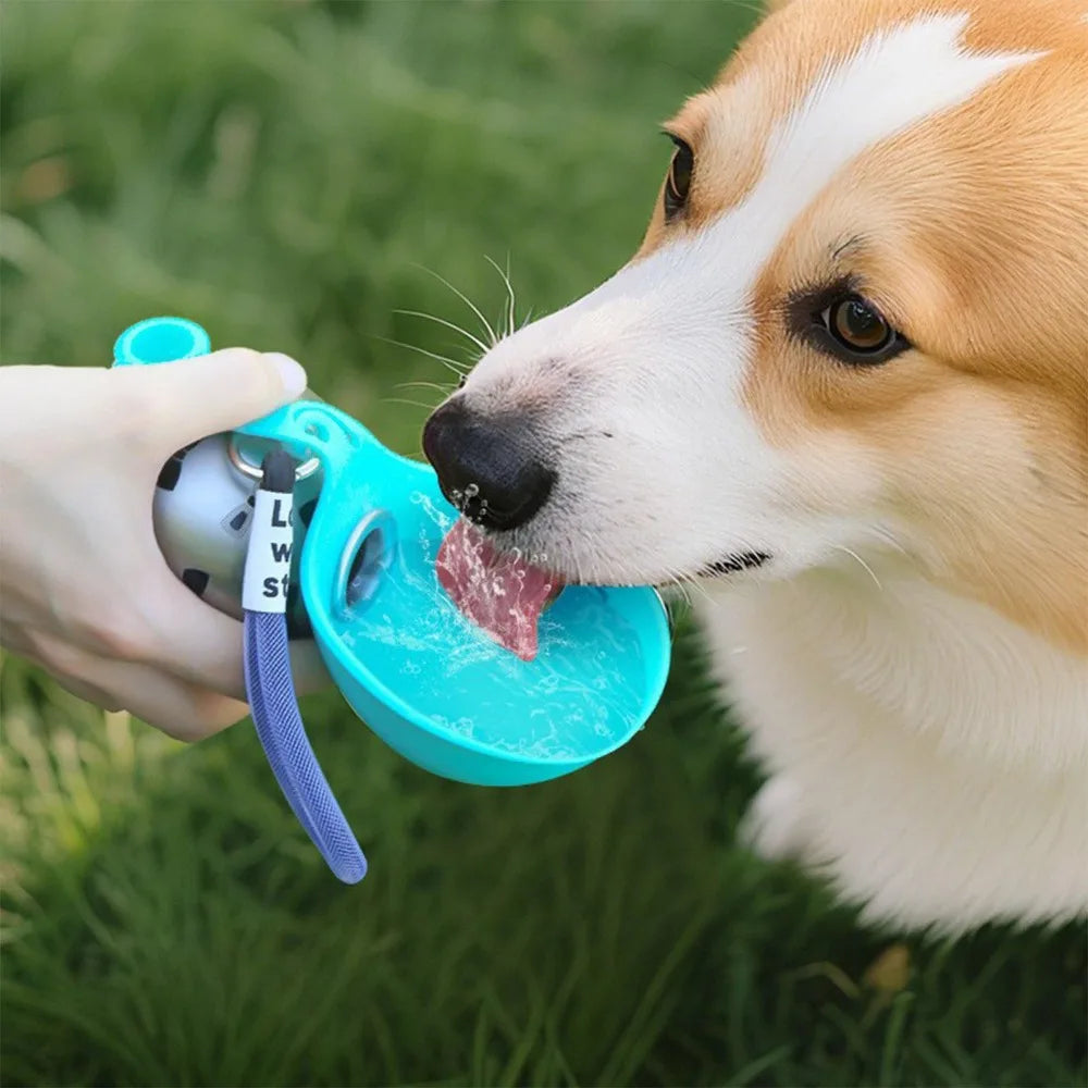 Gourde portable pour chien 285ml – Anti-fuite en Inox