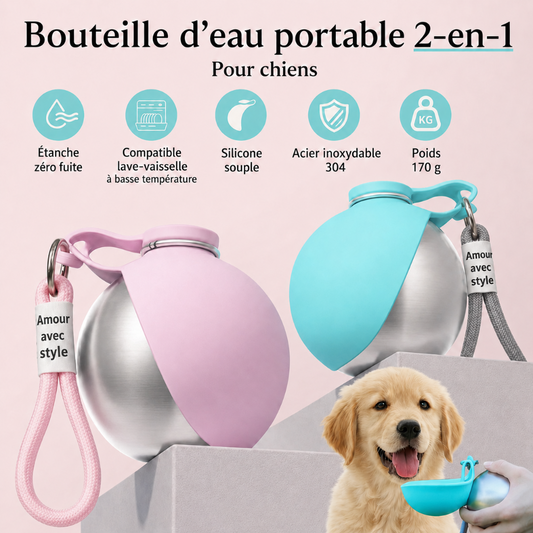 Gourde portable pour chien 285ml – Anti-fuite en Inox